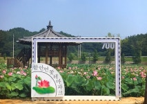 [여기어때] 연꽃으로 물든 함안연꽃테마파크 거닐까~