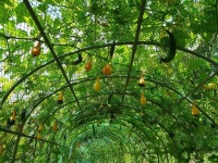 [거제소식]거제시보건소, 청소년 장애체험교실 운영