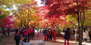 ‘제33회 소요단풍문화제’, 27일 동두천 소요산 일원서 개최