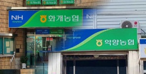 하동 화개농협악양농협, 합병 의결