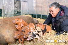 모두가 행복한 황금돼지해가 되기를