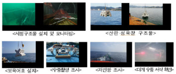정부, 축구장 4천개 규모 바다숲 조성 603억 투입