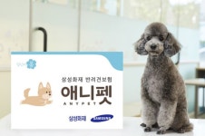 [금융 이모저모] 삼성화재, ‘다이렉트 반려견보험’ 선보여 外 KB