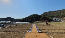 [통영소식]19일부터 제49회 회장기 전국장사씨름대회