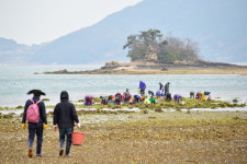 [포토뉴스] 남해군 설천면 모천마을 바래