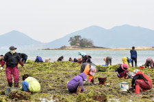 [포토뉴스] 남해군 설천면 모천마을 바래