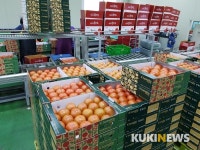 임실군, 원예농산물산업 ‘전국 1위’ 명성 확인