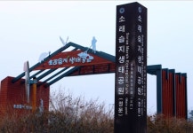 인천시, 소래습지 힐링 공원 조성 등 2차 더불어 잘 사는 균형발전방안 발표