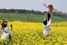 “5월의 인생 샷은 여기서!” 안성팜랜드