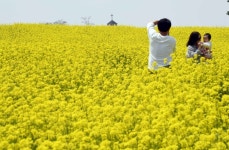 “인생 샷의 핫 플레이스!” 안성팜랜드