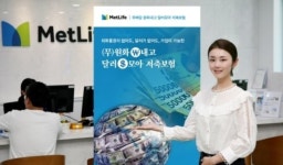 [금융 이모저모] 삼성생명, ‘제1회 전국 탁구클럽 대축제’ 개최 外 메트라이프