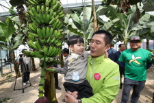 포항 바나나 체험농장 문 열어