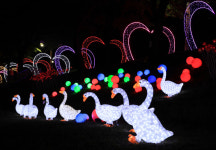 [여기어때]밀양아리랑대축제 불빛존 반짝반짝...축제의 밤을 즐기자~~