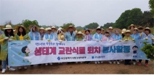 부산시 낙동강관리본부, 생태계 교란 식물 퇴치 나서...양미역취 제거