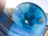 캐리비안 베이, 메가 웨이브 페스티벌 개최…야외 어트랙션 풀가동