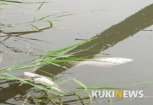 영암군, 우량농지로 조성한 논에서 침출수 발생…하천은 오염되고 인근 농지는 황폐’