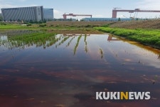 영암군, 우량농지로 조성한 논에서 침출수 발생…하천은 오염되고 인근 농지는 황폐’