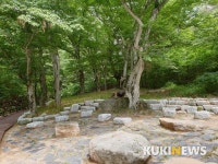 남원 주천 ‘서어나무 생태숲’ 새 단장