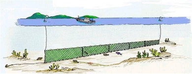 경상남도, 연안자망 어업 지지줄 사용 고시 제정 시행