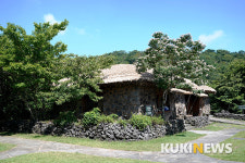 제주도에서 1년...같아 보여도 같지 않은 제주도 숲길