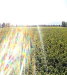 빅뱅 탑, 와인농장 사진 ‘눈길’…개인 소유 아르헨티나 포도밭?