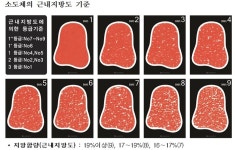 1++ 쇠고기, 등급 뒤에 마블링 함께 표시