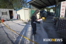 한강 이남도 뚫렸다…경기 김포농장 돼지열병 확진