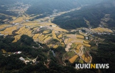 [드론으로 내려다본 2019 가을풍경] “콤바인이 그려낸 가을 추상화”