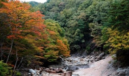 [여기어때]가을 정취 물씬 나는 산청 대원사 계곡실