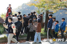 고종시 마실길 10㎞는 지금 한창 ‘가을’