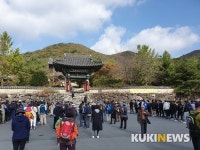 고종시 마실길 10㎞는 지금 한창 ‘가을’