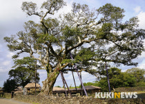제주도에서 1년…성읍 민속마을