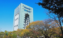 경주세계문화엑스포 필수 코스 경주타워