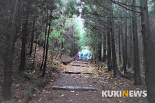 제주도에서 1년…오름의 황제 거문오름 (2)