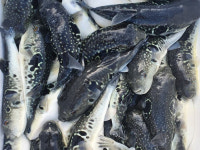 [고성소식] 거제-통영-고성 행정협의회, 제2차 정기회의 개최