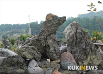 제주도에서 1년…서우봉 너머 서모봉 아래 북촌