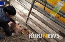 홍성군, 주말과 공휴일에도 대동물 당직병원 운영