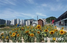 대전시, 도심속 텃밭 복용동 공영농장 시민들에 분양