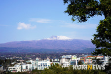 제주도에서 1년…천지연폭포 주변 거닐기