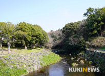제주도에서 1년…천지연폭포 주변 거닐기