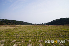 제주도에서 1년…천지연폭포 주변 거닐기