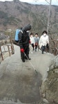 경산와촌면 “코로나19 죽이고, 미나리 농가 살리고”