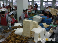 금산인삼 제조·유통업체 안전성 검사비 지원