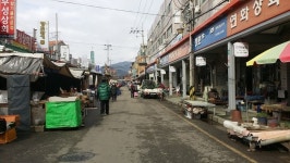 [고성소식] 고성군, 공공비축 마스크 공적 판매… 1만 6000장 공급