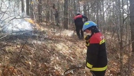 안동시 풍천면 야산에 산불.. 3시간여 만에 불길 잡아
