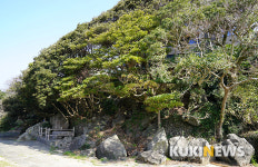 제주도에서 1년…용수포구 엉덕동산의 열녀 고씨 부인