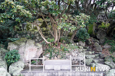 제주도에서 1년…용수포구 엉덕동산의 열녀 고씨 부인