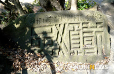 제주도에서 1년…용수포구 엉덕동산의 열녀 고씨 부인