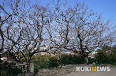 제주도에서 1년…용수포구 엉덕동산의 열녀 고씨 부인