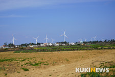 제주도에서 1년…용수포구 엉덕동산의 열녀 고씨 부인